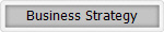 Business Strategy