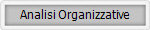 Analisi Organizzative