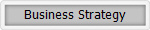 Business Strategy